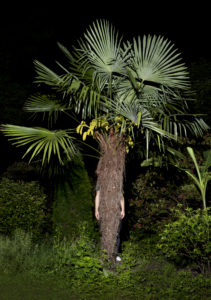 Mathieu Boogaerts est caché derrière un arbre